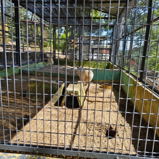 Mini Zoo Kuala Lipis