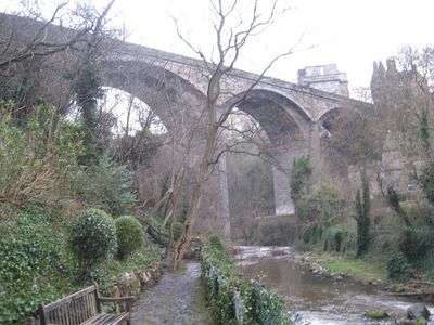 Immagine alternativa