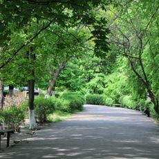 Cherkasy 1-st City Hospital Park