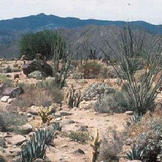 Santa Rosa Wilderness