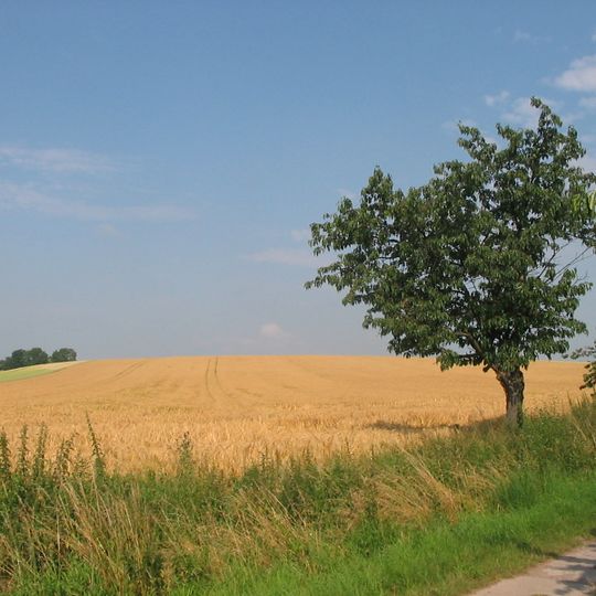 Hohes Holz, Saures Holz mit östlichem Vorland