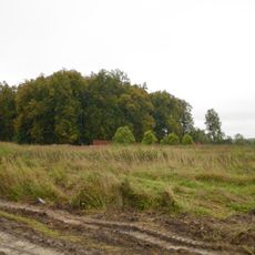 Усадьба Левашовых (Большепетровское)