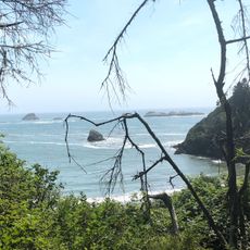 College Cove North