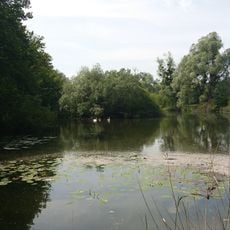 Westliches Hanauer Land