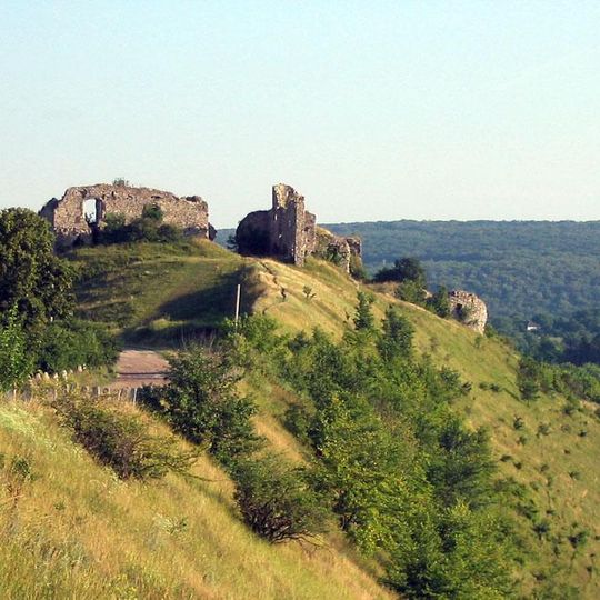 Zamek w Czarnokozińcach