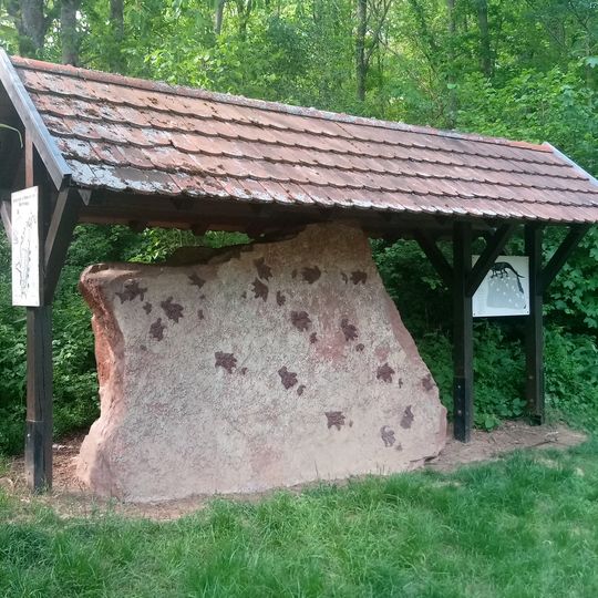 Geologisch-naturkundlicher Wanderweg Külsheim