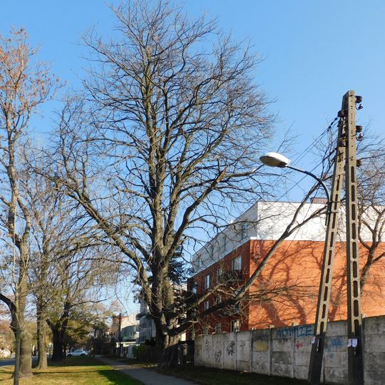 4A Potrzebna Street in Warsaw