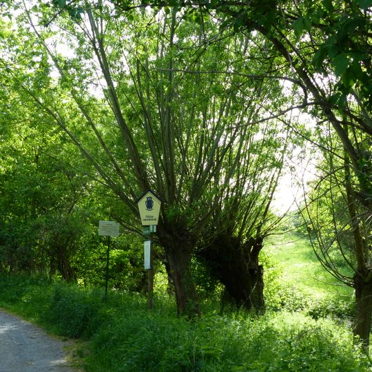 Läusebusch im Nöthnitzgrund