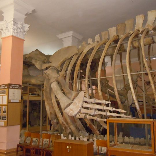 Musée zoologique de l'université d'Odessa