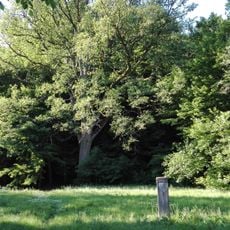 Veiviržėnai hillfort
