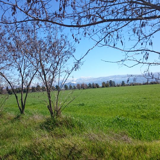 Shahrestān di Gonbad-e-Kavus