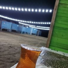 Delfin Çimərlik \ Novxanı bağları