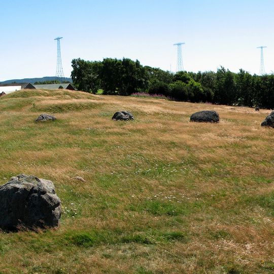 Broåsen, Götriks ring