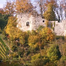 Ruin of the Vorderer Wartenberg
