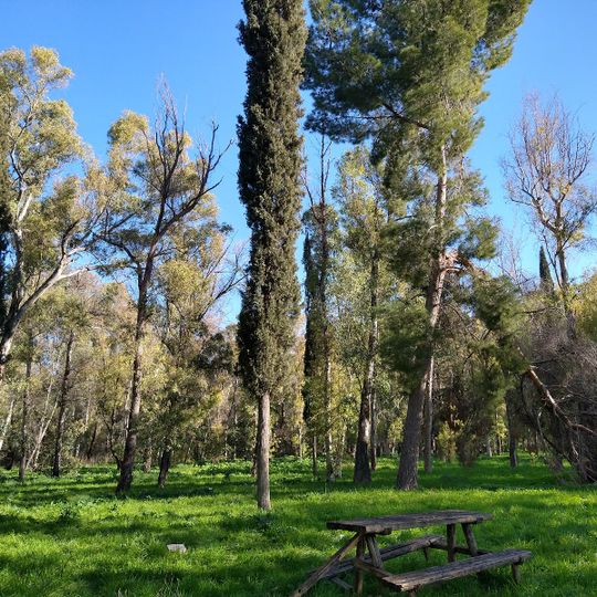 Parco naturale regionale Bosco Incoronata