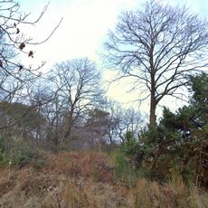 Naturschutzgebiet Herrnberg von Groß-Umstadt