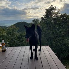 MonSonkeang Camping view ม่อนสันเกี๋ยง