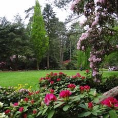 Rhododendronpark Hobbie
