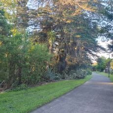 Oratia Stream Walk & Cycleway