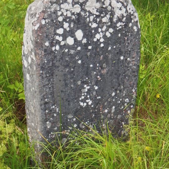 Uppland Runic Inscription 1180