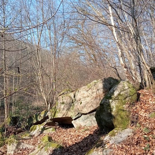 Réserve biologique dirigée de la Vallée des Vaux