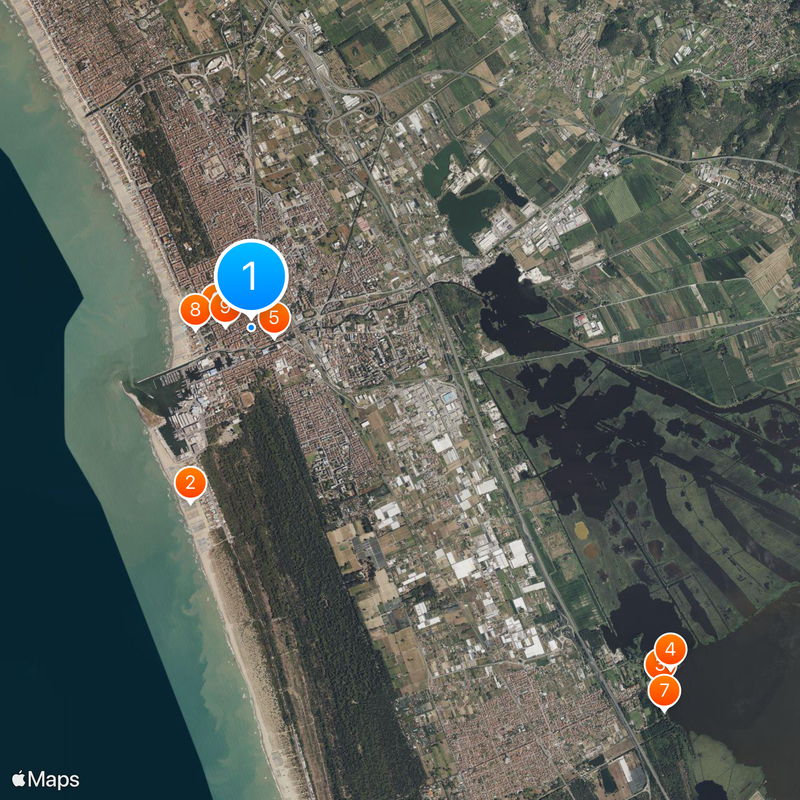 Viareggio Map